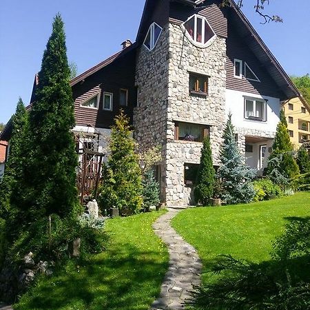Pension Casa Contelui Rîşnov Exteriör bild