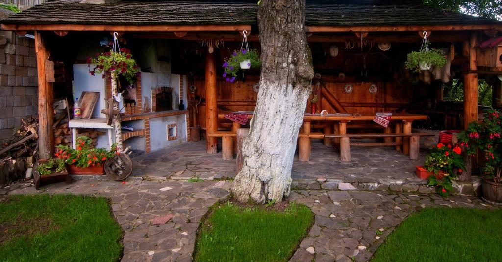 Pension Casa Contelui Rîşnov Exteriör bild