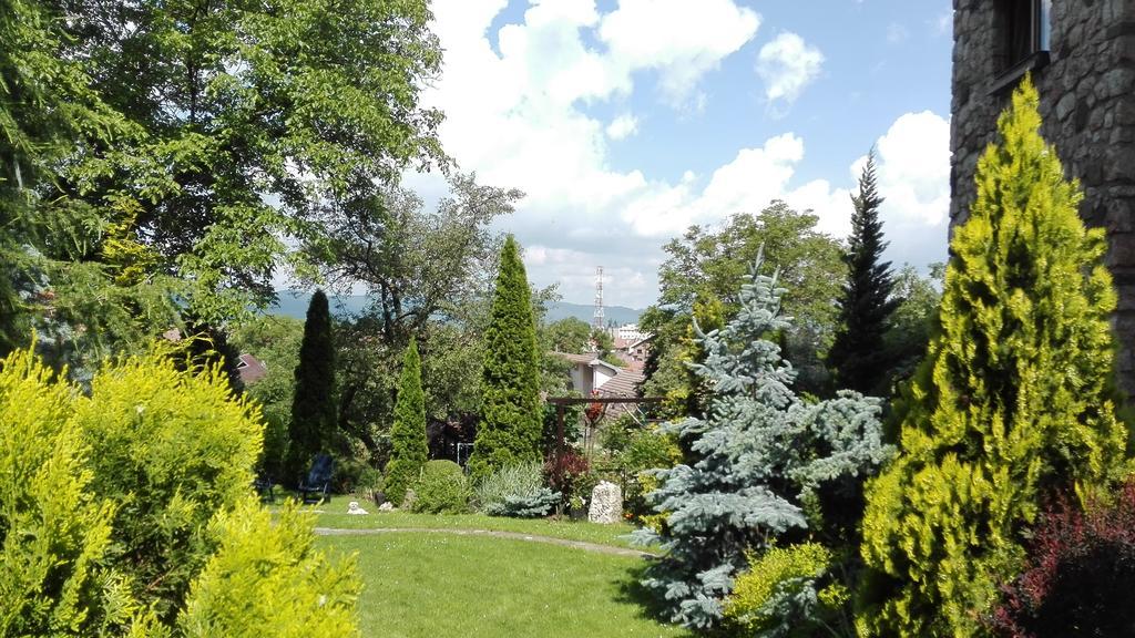 Pension Casa Contelui Rîşnov Exteriör bild