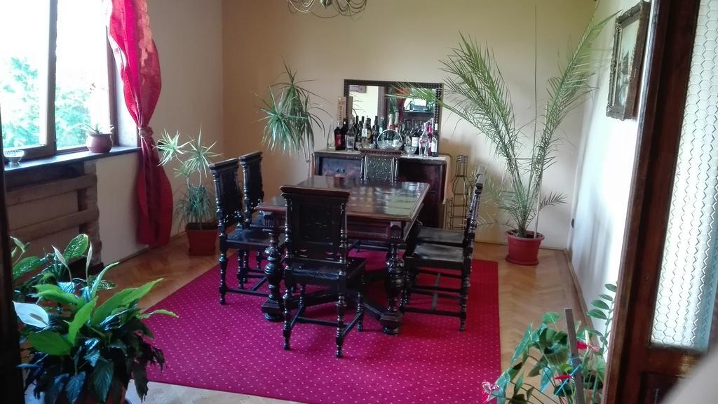 Pension Casa Contelui Rîşnov Exteriör bild