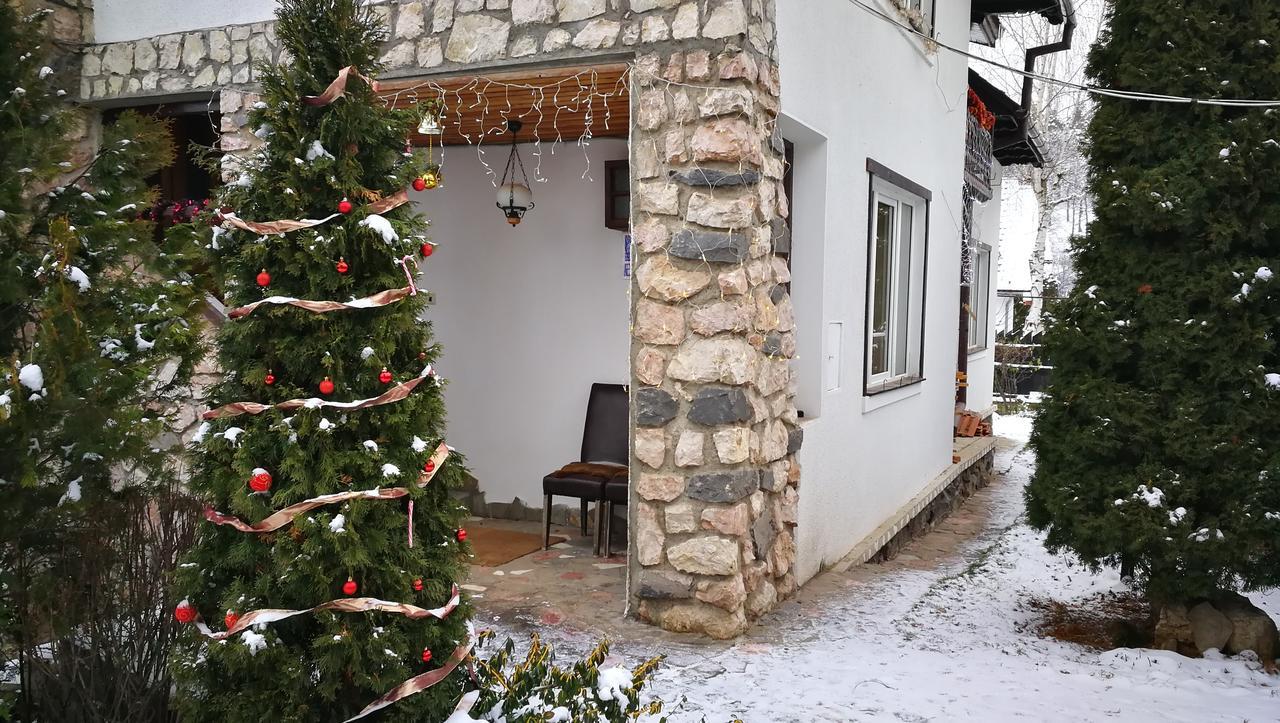 Pension Casa Contelui Rîşnov Exteriör bild