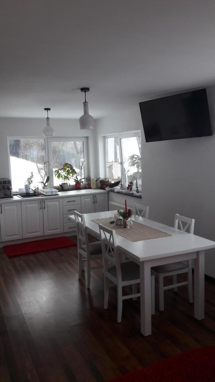 Pension Casa Contelui Rîşnov Exteriör bild