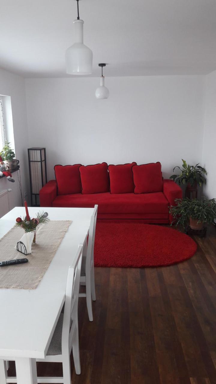 Pension Casa Contelui Rîşnov Exteriör bild